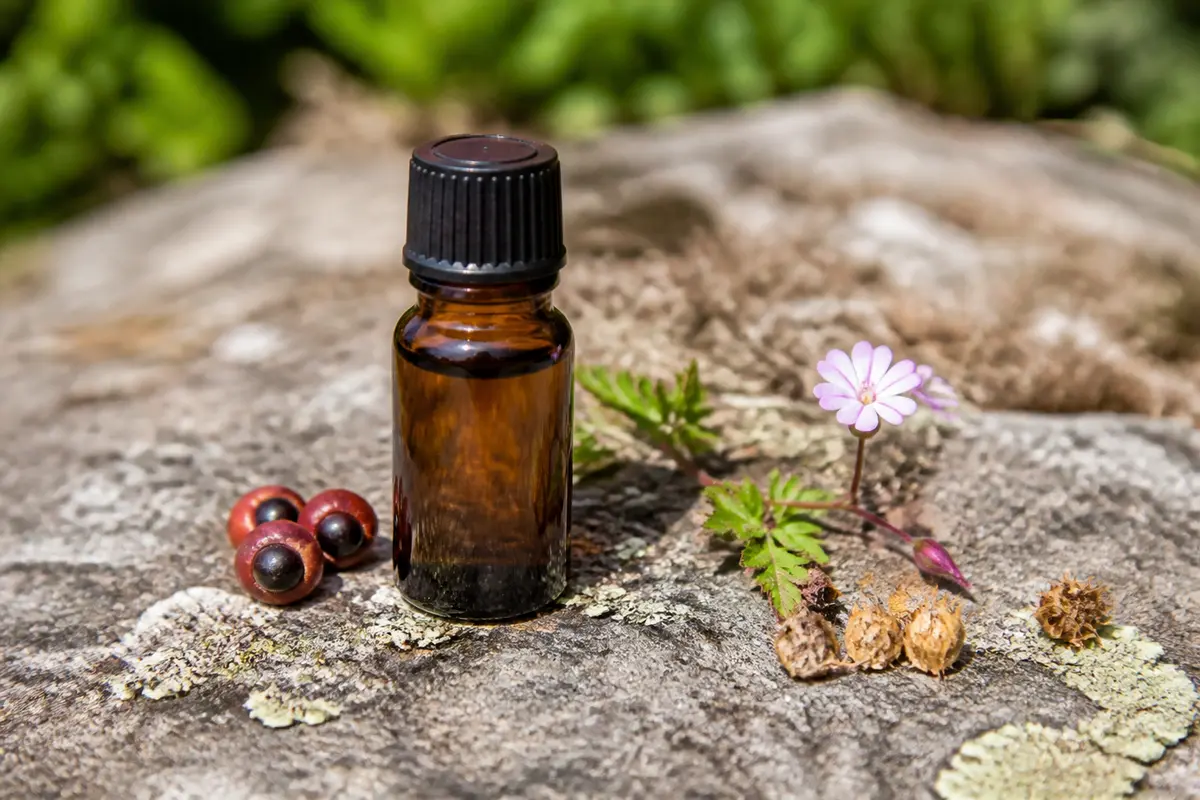 Bouteille d'huile essentielle, oeil de perdrix, fleur rose sur roche naturelle