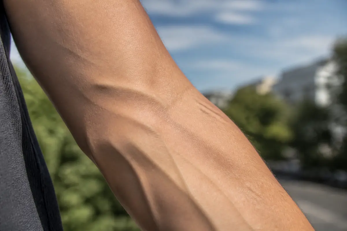 Veine du bras : trajet, thrombose et fonction essentielle