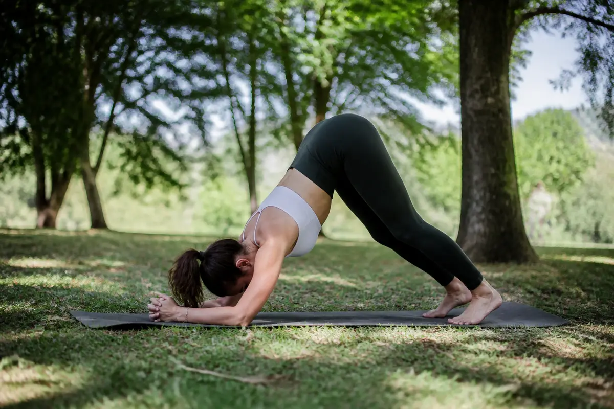 Yoga Dauphin : Comment réussir cette posture pour renforcer corps ?